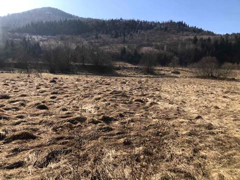 участок по адресу Тараса Шевченка ул.