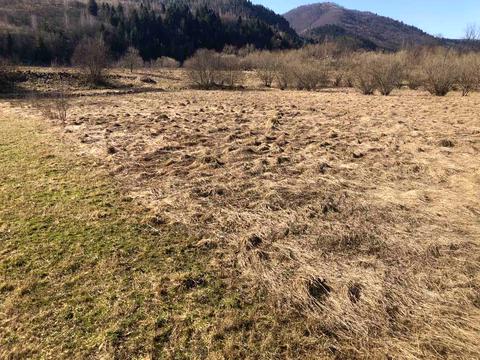 участок по адресу Тараса Шевченка ул.