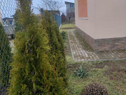 будинок за адресою Олександрійська