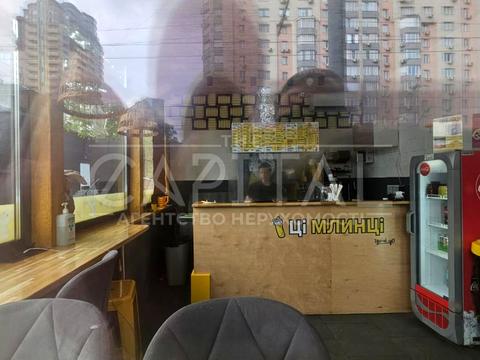 комерційна за адресою Борщагівська вул., 189/1