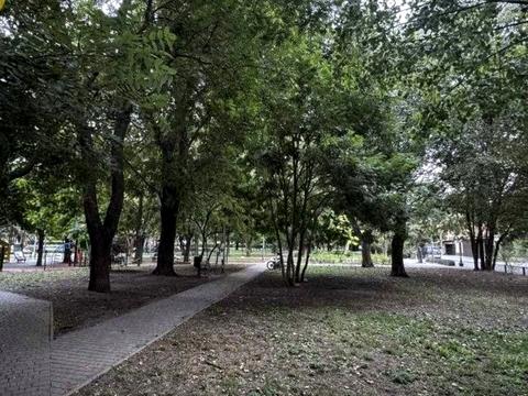 квартира за адресою Чубаївська вул., (Будинок)