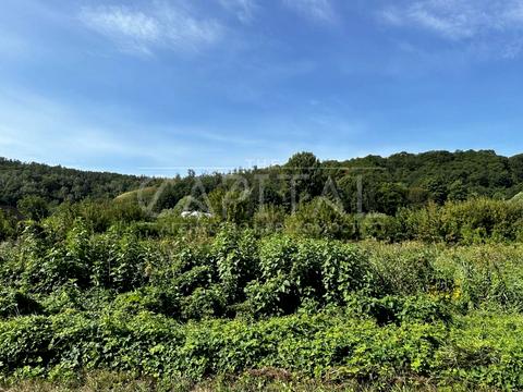 участок по адресу Сосновая ул.