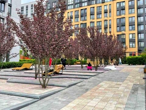 квартира за адресою Салютна вул., 2к1