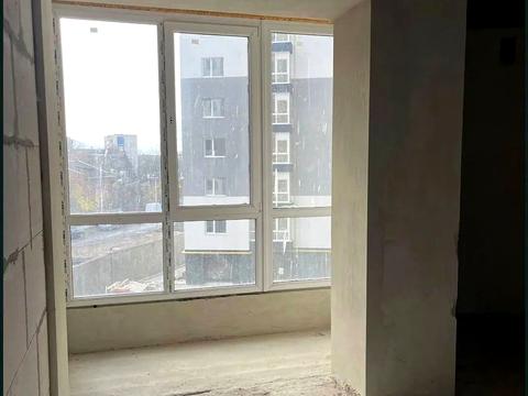 квартира по адресу Княгинин ул., (Будинок 38)