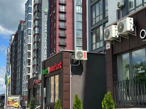 квартира по адресу Княгинин ул., (Будинок 41)