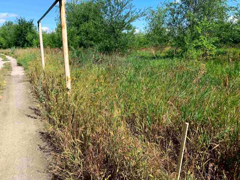 ділянка за адресою Кринична