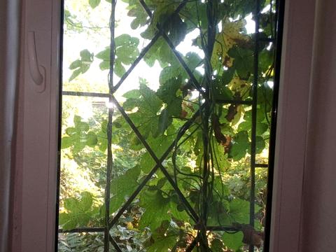 квартира по адресу Атамана Головатого ул., 46