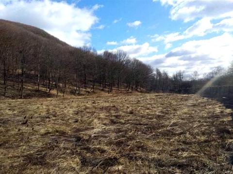 ділянка за адресою с. Солочин, 