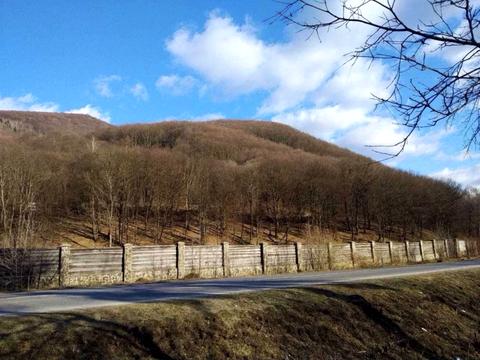 ділянка за адресою с. Солочин, 