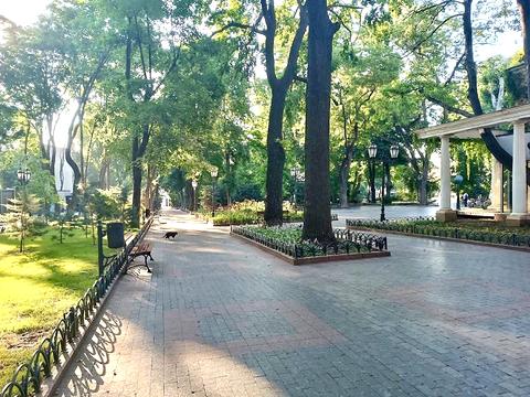 комерційна за адресою Пастера вул., 60