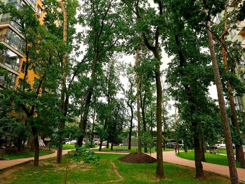 квартира за адресою Анатолія Петрицького вул., 15-А