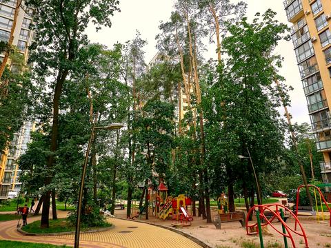 квартира за адресою Анатолія Петрицького вул., 15-А