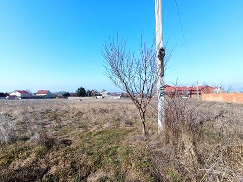 ділянка за адресою Центральна вул.