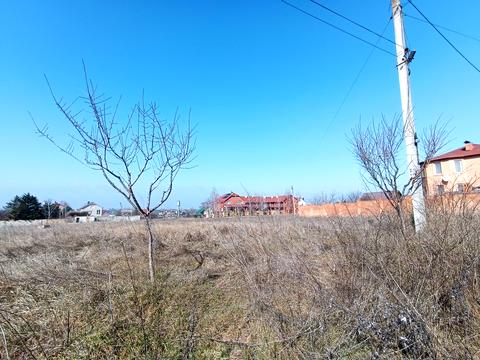 ділянка за адресою Центральна вул.