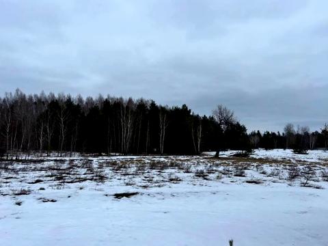 ділянка за адресою с. Катюжанка, 