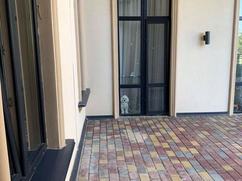 квартира за адресою с. Фонтанка, Грецька вул., 2