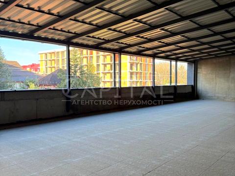 комерційна за адресою Олександра Духновича пл., 9