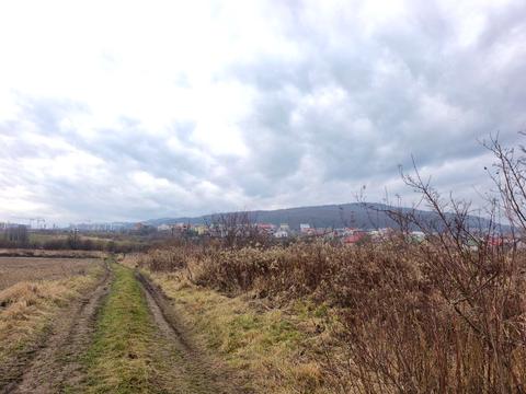 участок по адресу с. Лисиничи, 