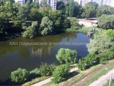 квартира по адресу Родниковая ул., 5