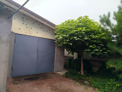 будинок за адресою Житомир, Олени Теліги вул.