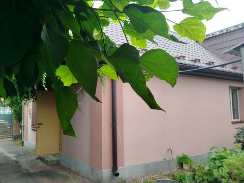 будинок за адресою Житомир, Олени Теліги вул.