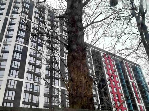 квартира по адресу Хриплинская ул., (Будинок 2)