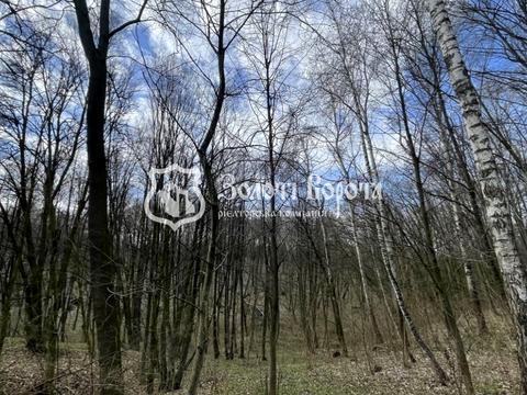 ділянка за адресою Межигірська вул.