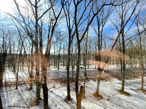 квартира по адресу Мичурина ул. (Мічуріна), 2а