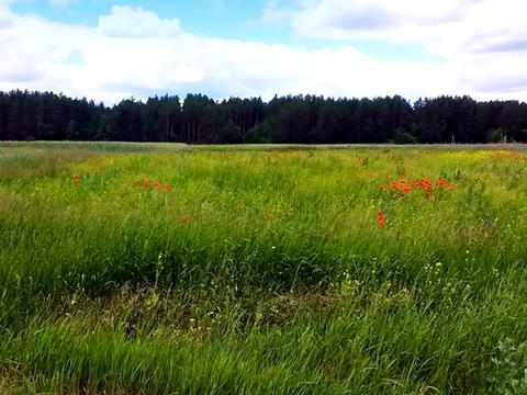 участок по адресу Чорнобильська, 18