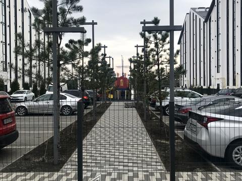 квартира за адресою Нова Виноградна вул., 20