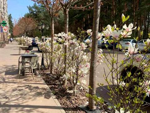 квартира за адресою Радистів вул., 34-Н