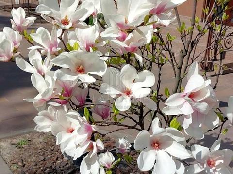 квартира за адресою Радистів вул., 34-Н