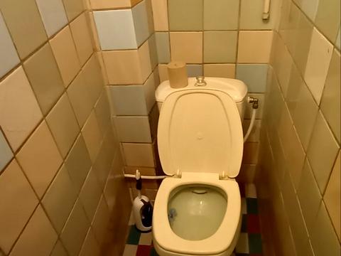 квартира за адресою Алішера Навої просп., 61