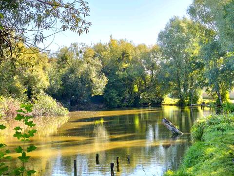 участок по адресу Ставкова, 13