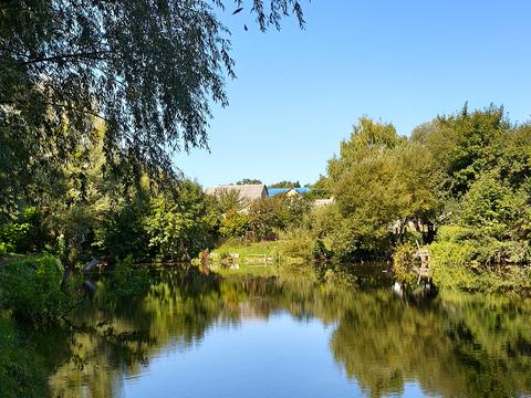 участок по адресу Ставкова, 9