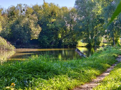 участок по адресу Ставкова, 9