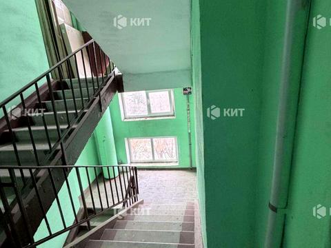 квартира по адресу Гвардейцев-Широнинцев ул., 59