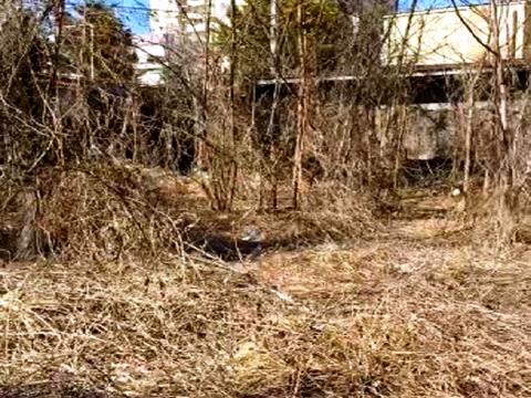 ділянка за адресою Одеса, Полуничний пров.