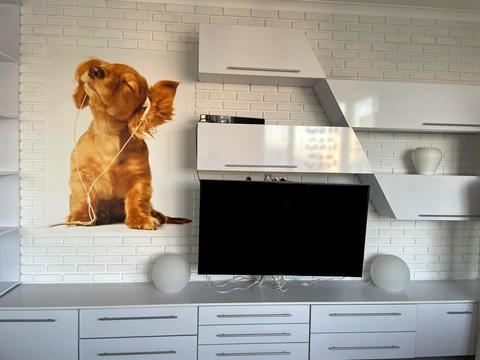 квартира по адресу Анатолия Петрицкого ул., 15