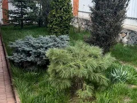 будинок за адресою Театральна вул. (Леніна), 12