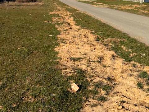 ділянка за адресою Ужанська