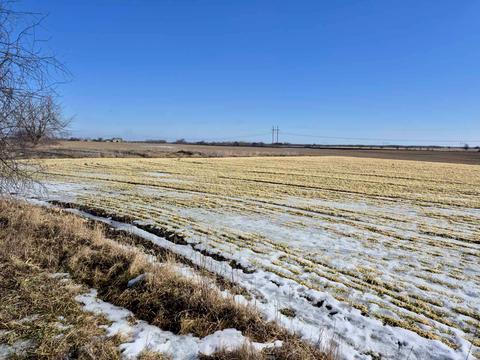 будинок за адресою с. Кузьменки, степова
