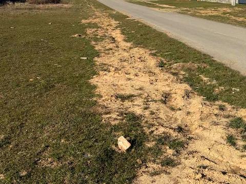 ділянка за адресою 