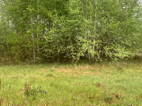 участок по адресу Журавлина