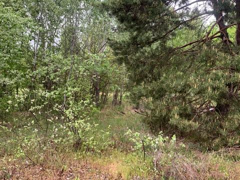 участок по адресу Журавлина