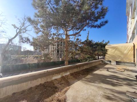 квартира по адресу Французский бульв., 54/23