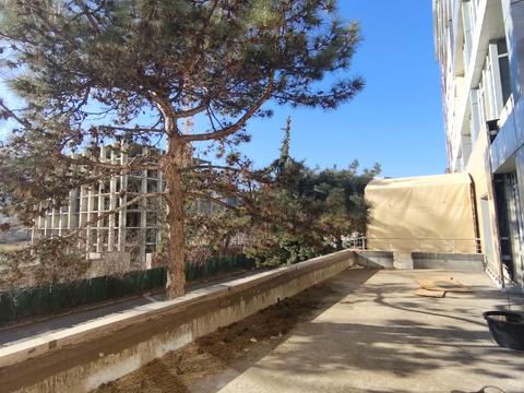 квартира по адресу Французский бульв., 54/23