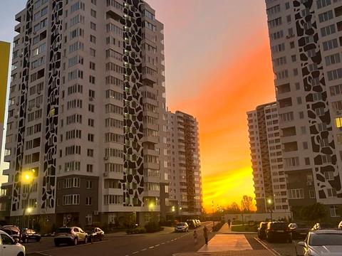 квартира по адресу Павла Чубинского ул., (Корпус «Тигр 2»)