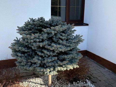 будинок за адресою Львів, Михайла Лучкая вул., 6