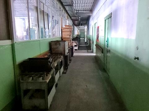 коммерческая по адресу 600-летия ул., 9